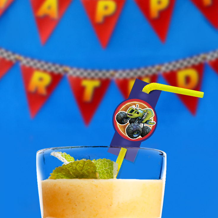 Blaze and the Monster Machines Birthday Party Straw Toppers