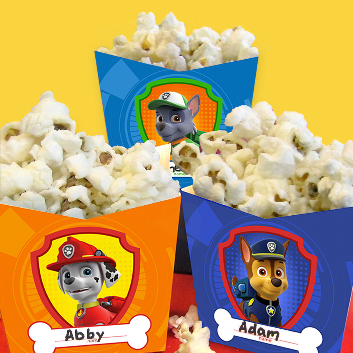 PAW Patrol Pupcorn Holders Craft
