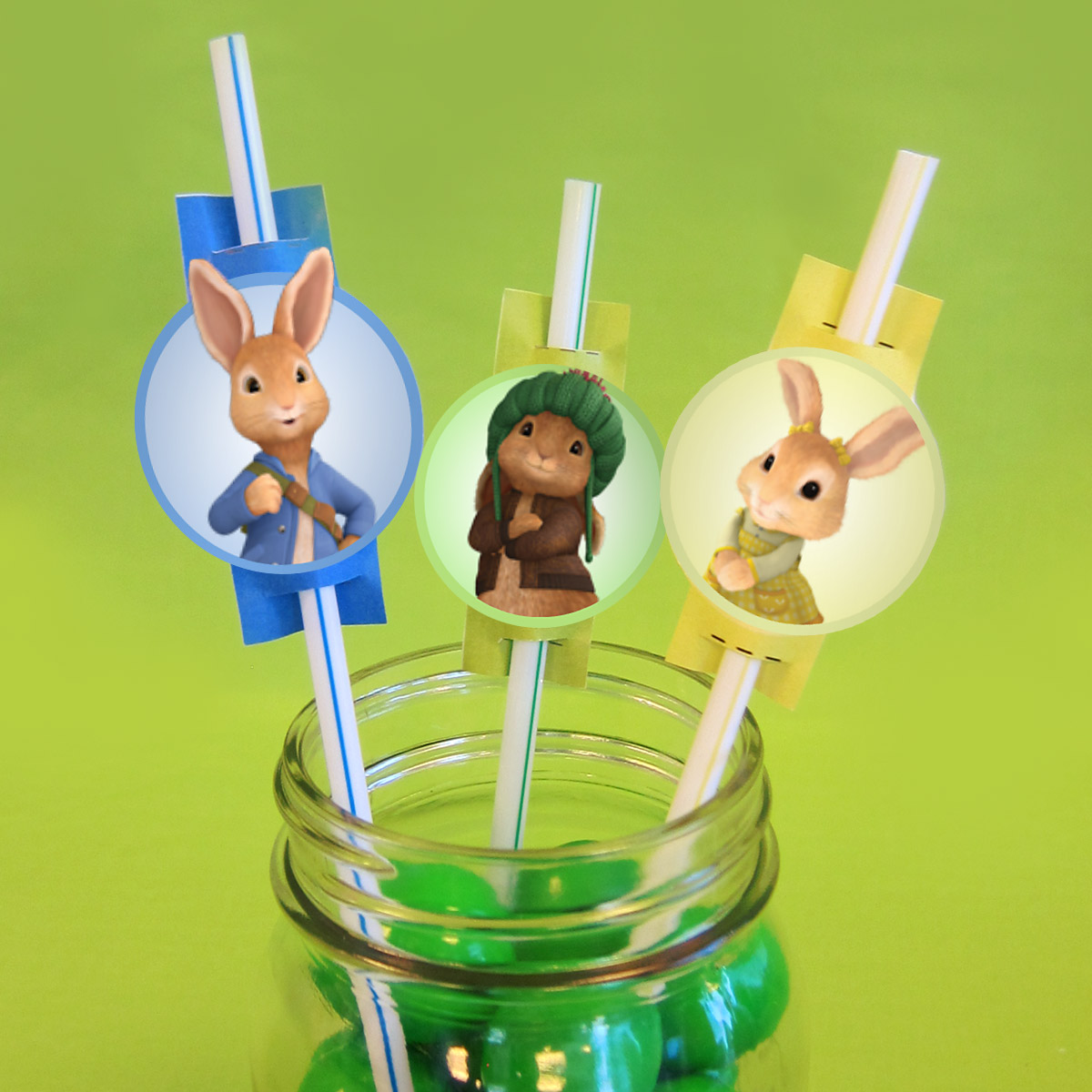 Peter Rabbit Party Straw Toppers