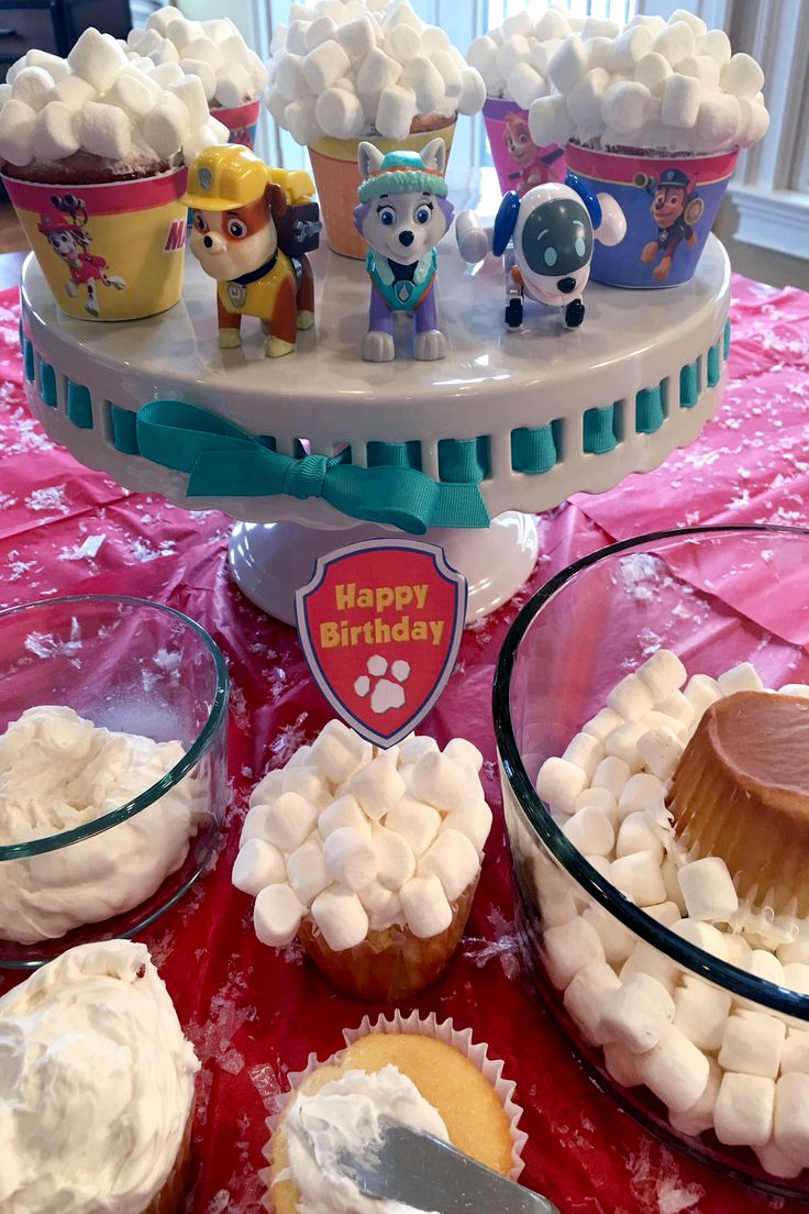 PAW Patrol Winter Rescue Snowball Cupcakes
