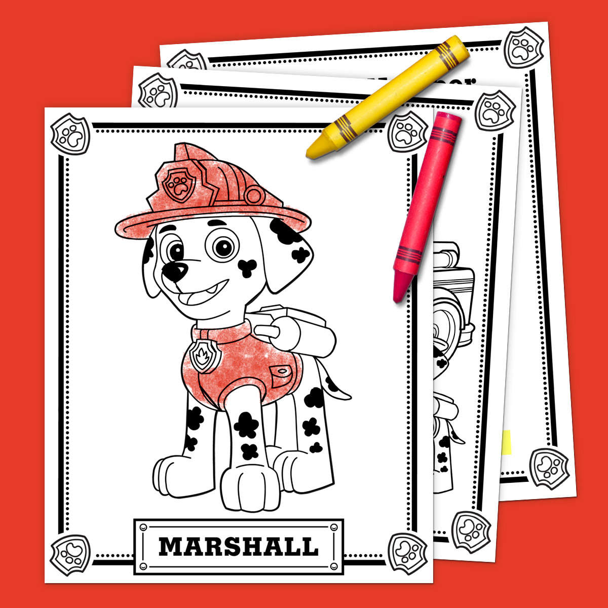 Marshall Activity Pack