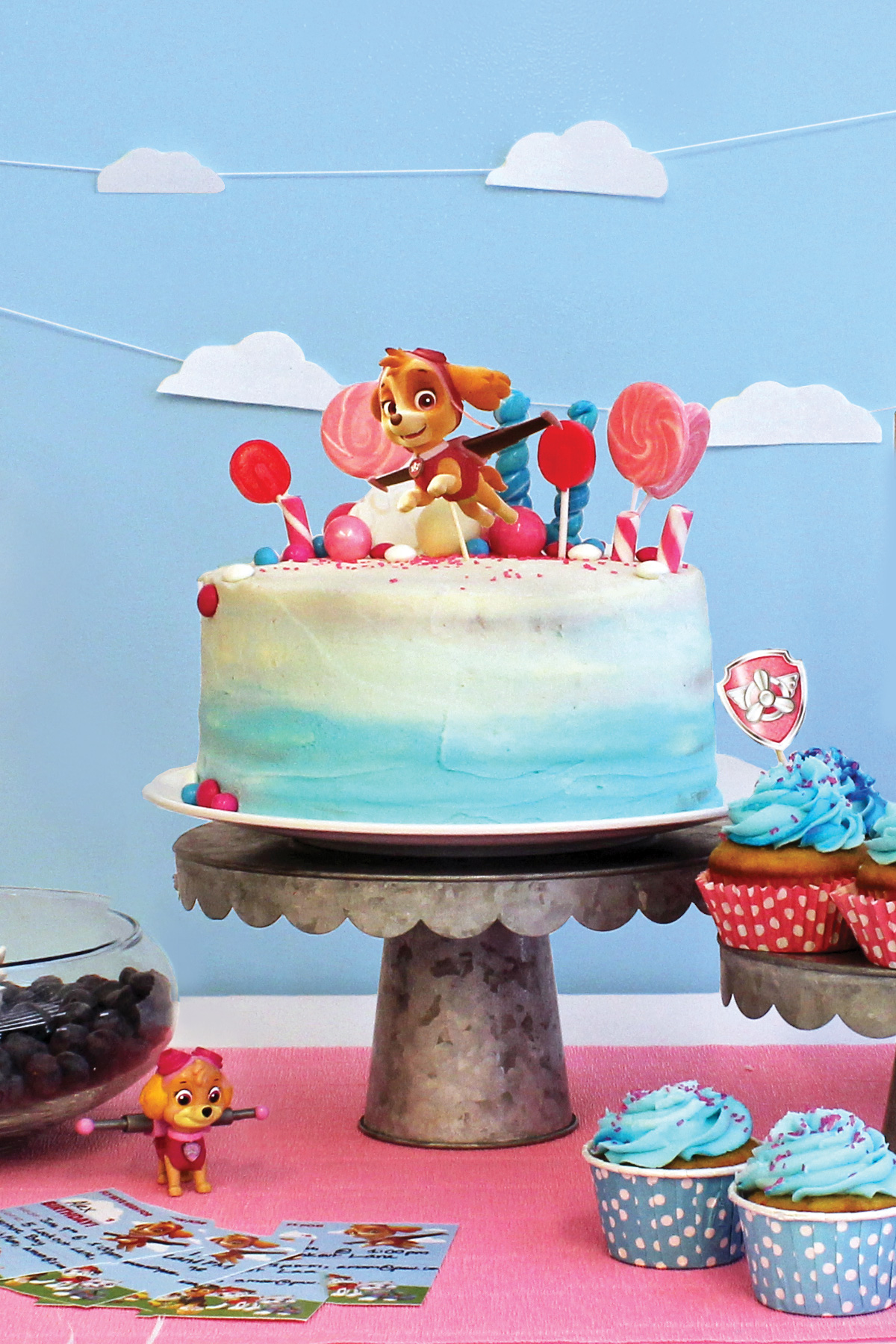 Throw a Skye Birthday Celebration!