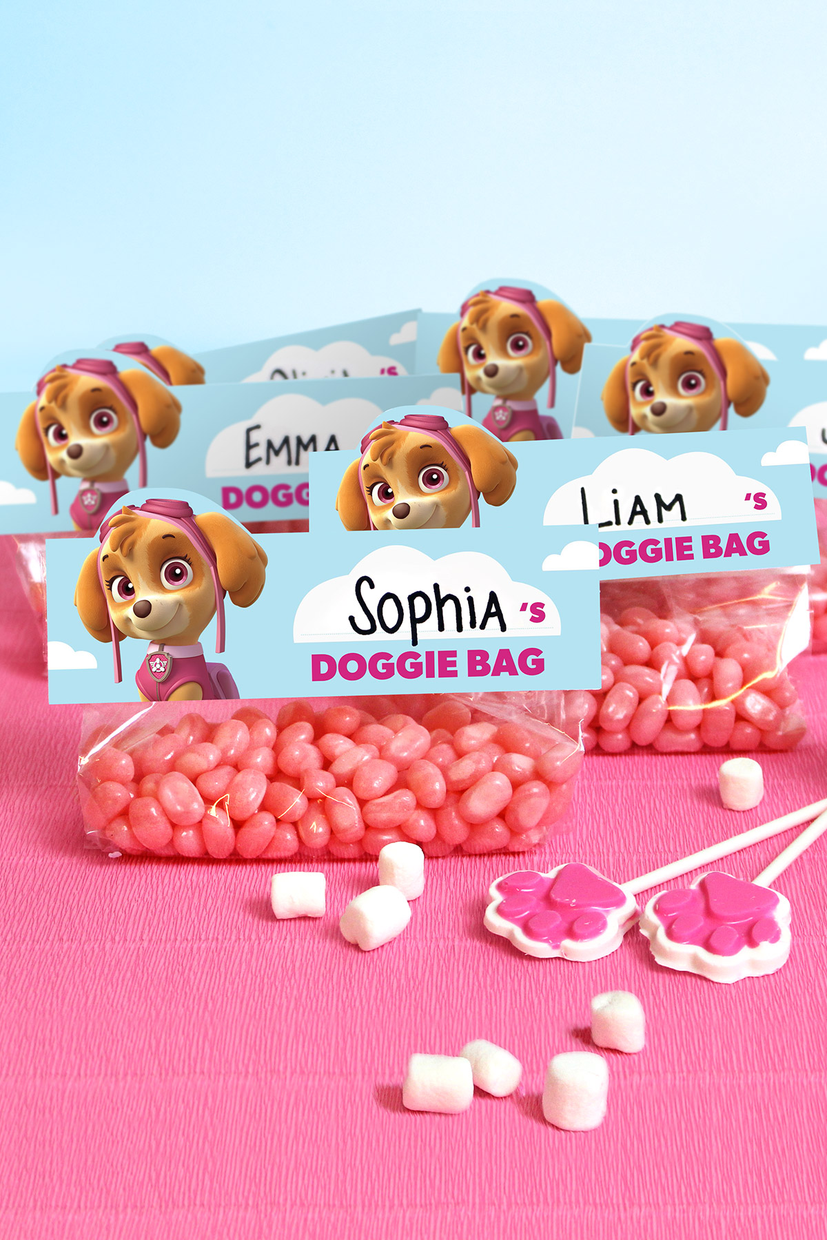 PAW Patrol Skye Birthday Goody Bag Toppers